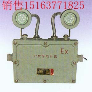 供应BAJ52防爆应急灯